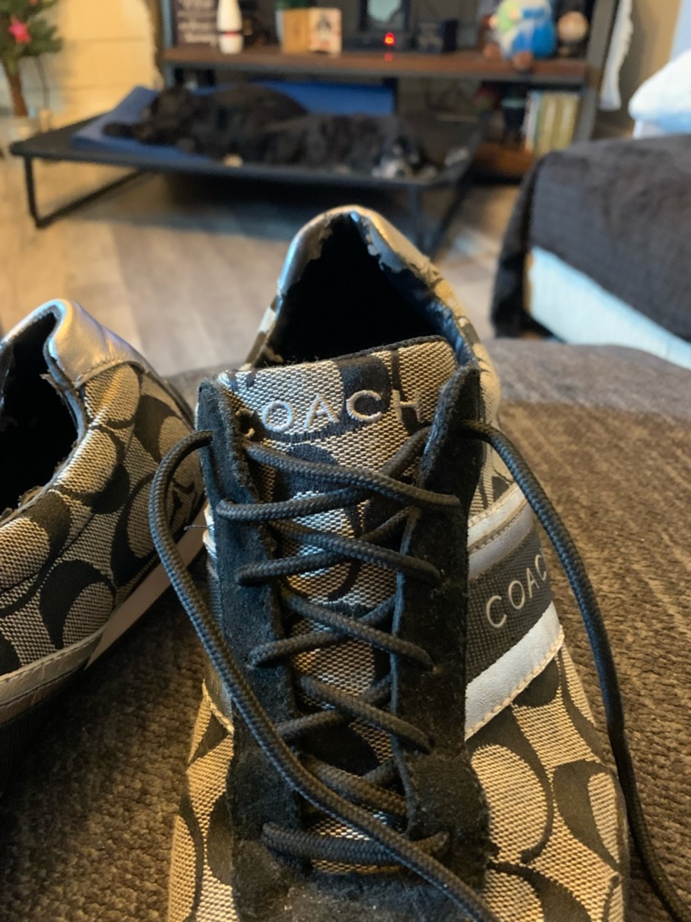 Coach Womens Signature C Lace-Up Sneakers in Black and Grey - Picture 6 of 6